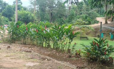 PUERTO QUITO, URB EL MANATIAL VENDO 2 LOTES 1345m2