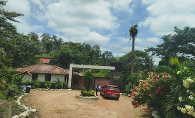 PUERTO QUITO, URB EL MANATIAL VENDO 2 LOTES 1345m2