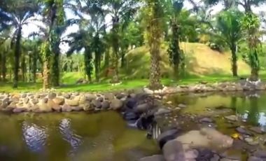 PUERTO QUITO, URB EL MANATIAL VENDO 2 LOTES 1345m2