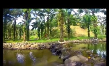 PUERTO QUITO, URB EL MANATIAL VENDO 2 LOTES 1345m2