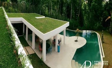 FREEHOLD MODERN HILLSIDE VILLA OVERLOOKING TO THE NATURE