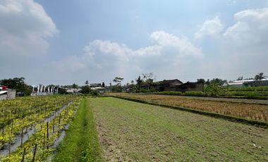 Tanah Jogja View Sawah Dan Merapi Utara Pemda Sleman
