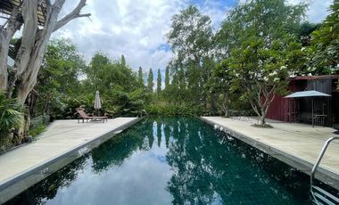 **For Rent or Sale – Private Greenery Condominium by the Canal Road, Suthep, Chiang Mai**   Experience peaceful living surrounded by nature of this pr