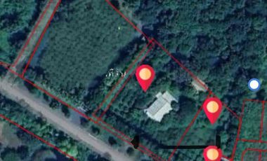 Land and house sell Nakonnayok