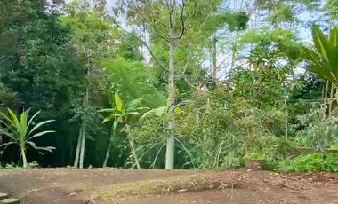 villa disewakan dengan kolam renang di kota batu dekat Jatim Park 3