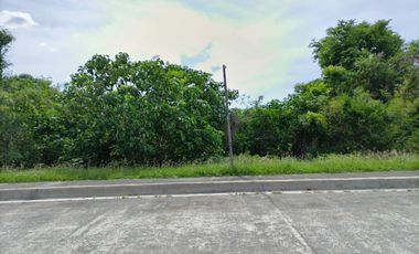 Residential lot in Woodside Garden Village subdivision Urdaneta City, 250 meters from National  Road, Pasalo selling at old price save as P200K