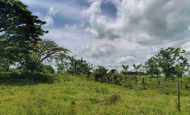 🏞️ Vendo lotes  Alcalá