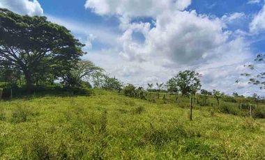 🏞️ Vendo lotes  Alcalá
