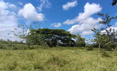 🏞️ Vendo lotes  Alcalá
