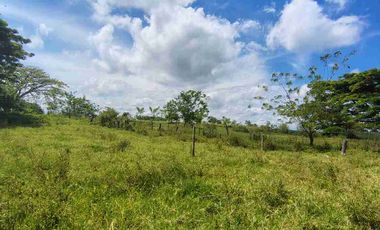 🏞️ Vendo lotes  Alcalá