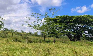 🏞️ Vendo lotes  Alcalá