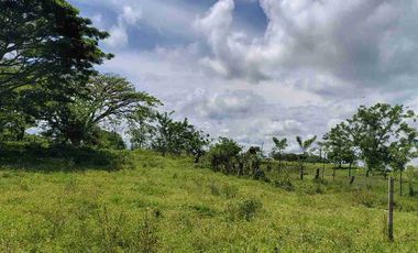 🏞️ Vendo lotes  Alcalá