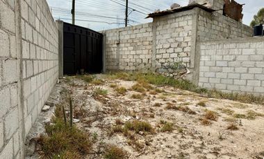 TERRENO EN VENTA MINERAL REFORMA