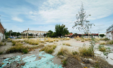 Terreno en Renta, Fraccionamiento Villarreal