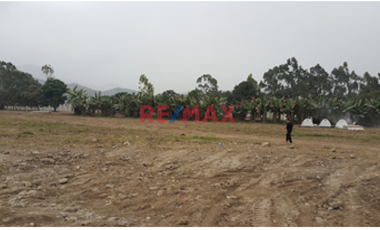 Gran Oportunidad Terreno En Pachacamac