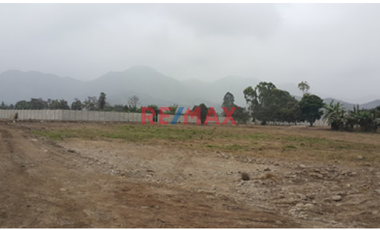 Gran Oportunidad Terreno En Pachacamac