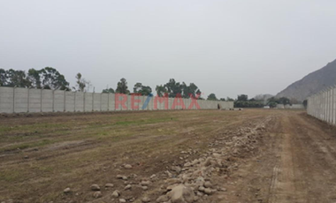 Gran Oportunidad Terreno En Pachacamac