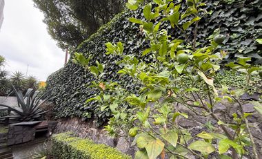 Venta Casa con Departamento rodeados de jardín