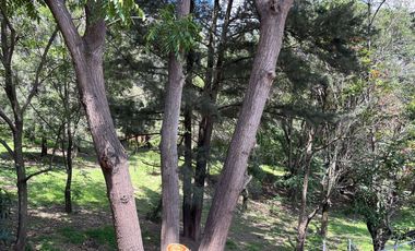 Casa en renta en Lomas de Santa Anita Tlajomulco 		$20,000