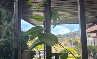 Departamento 3 dormitorios, estacionamiento y bodega. Lonco Oriente, Chiguayante