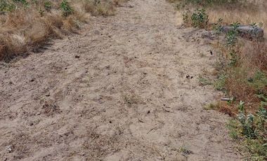 Terreno en Piura, 4.40 Ha, Carretera Sullana - Tambo Grande