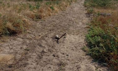 Terreno en Piura, 4.40 Ha, Carretera Sullana - Tambo Grande