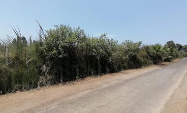 ¡Ocasión, Gran Terreno en Mala 16,500 m² a 5 Min de La Pan. Sur!
