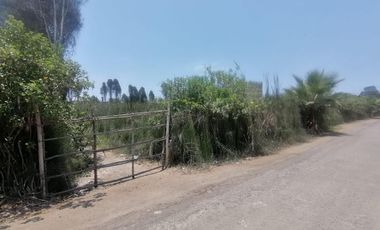 ¡Ocasión, Gran Terreno en Mala 16,500 m² a 5 Min de La Pan. Sur!