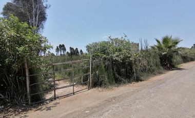¡Ocasión, Gran Terreno en Mala 16,500 m² a 5 Min de La Pan. Sur!