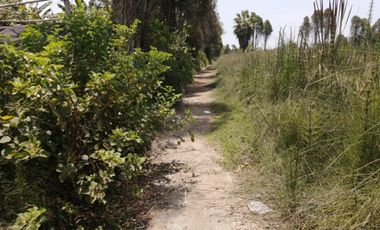 ¡Ocasión, Gran Terreno en Mala 16,500 m² a 5 Min de La Pan. Sur!