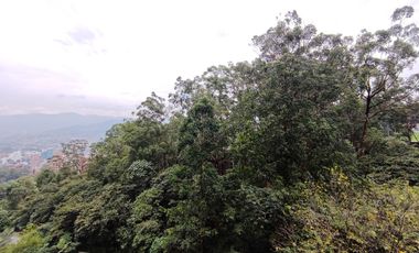 Venta de apartamento en el Poblado, las Palmas