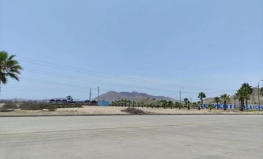 ¡Oportunidad Lotes Industriales en La Chutana – Chilca! 5,200 M²!