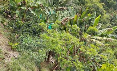 🏠Vendo casa Finca la Virginia -Blaboa