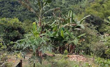 🏠Vendo casa Finca la Virginia -Blaboa