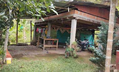 🏠Vendo casa Finca la Virginia -Blaboa