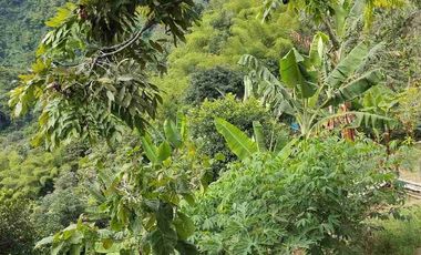 🏠Vendo casa Finca la Virginia -Blaboa