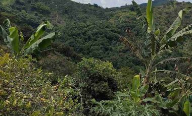 🏠Vendo casa Finca la Virginia -Blaboa