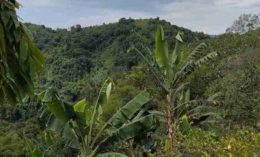 🏠Vendo casa Finca la Virginia -Blaboa