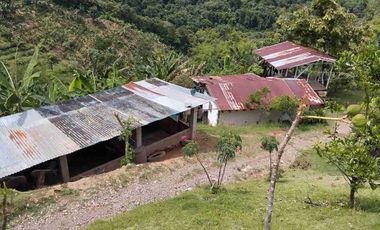 🏠Vendo casa Finca la Virginia -Blaboa