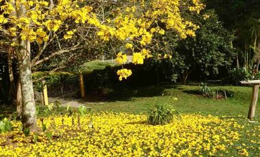 ARRIENDO CABAÑA CIRCASIA QUINDIO