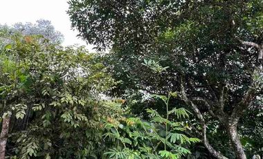 ARRIENDO CABAÑA CIRCASIA QUINDIO