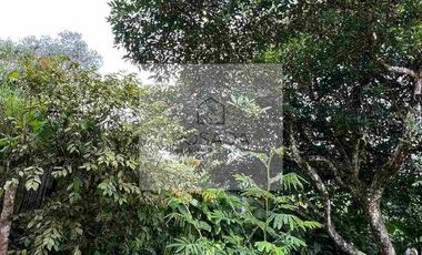 ARRIENDO BELLA CABAÑA CIRCASIA QUINDIO