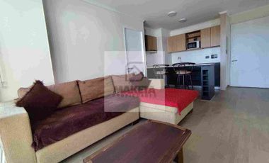 Arrendamos comodo departamento frente a U de Talca