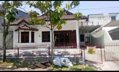 Rumah disewakan