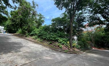 Town and Country Estate Antipolo | Residential Lot For Sale - #9107