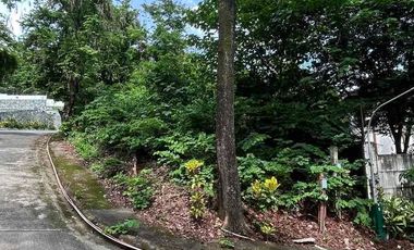 Town and Country Estate Antipolo | Residential Lot For Sale - #9107