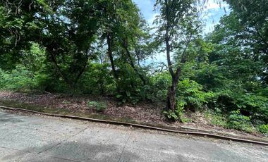 Town and Country Estate Antipolo | Residential Lot For Sale - #9107