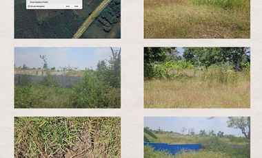 DIJUAL TANAH RAYA MANTUP LAMONGAN