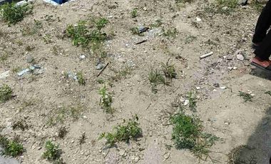 disewakan rumah bulanan murah cluster topaz permata mutiara maja dekat stasiun