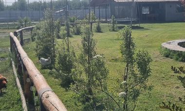 VENDE HERMOSA PARCELA EN OLIVAR ALTO RANCAGUA